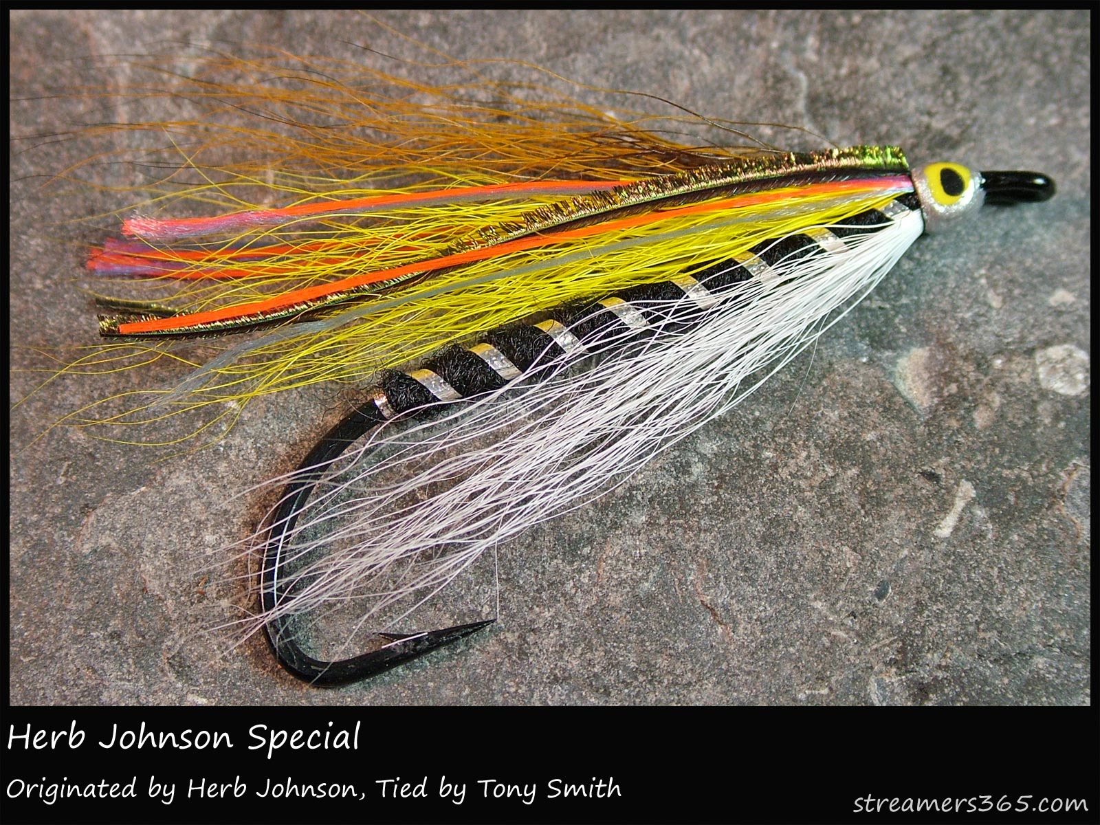 Fly